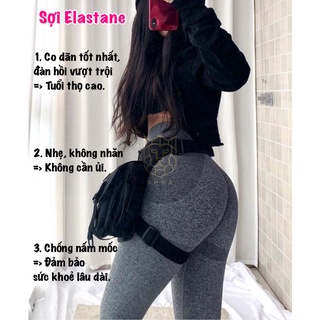 [LOẠI 1] Quần Tập Gym Nữ Yoga - Legging Mitao Chun Nâng Mông [ĐỒ TẬP GYM NỮ]