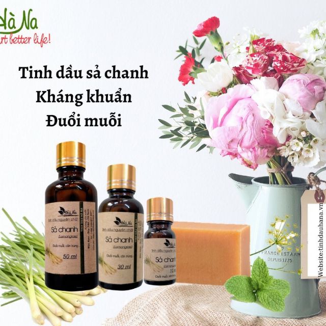 Combo sả chanh