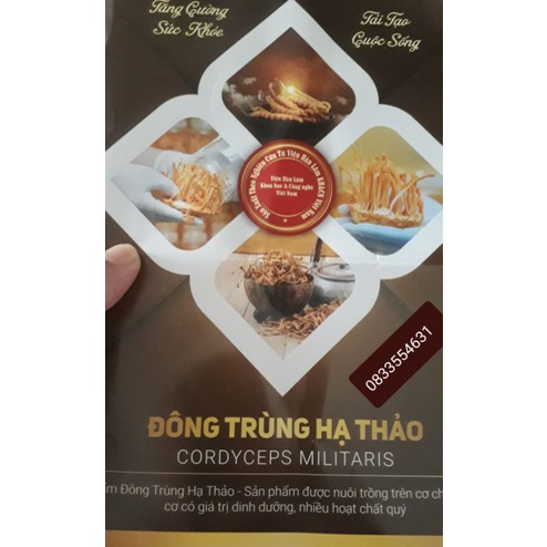 Đông Trùng Hạ Thảo Viện Hàn Lâm KHCN Việt Nam