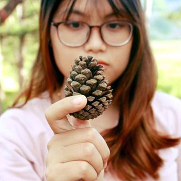 nththuhuong