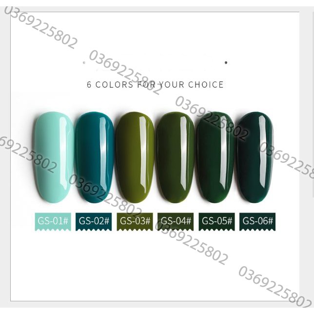 1 set 6 chai sơn As seri rừng sương mù