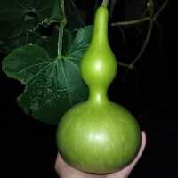 thanhloi151103