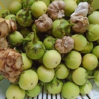 5 Gam-Hạt Giống Cà Pháo Xanh Cao Sản,kháng sâu bệnh tốt, sinh trưởng khoẻ, năng xuất cao