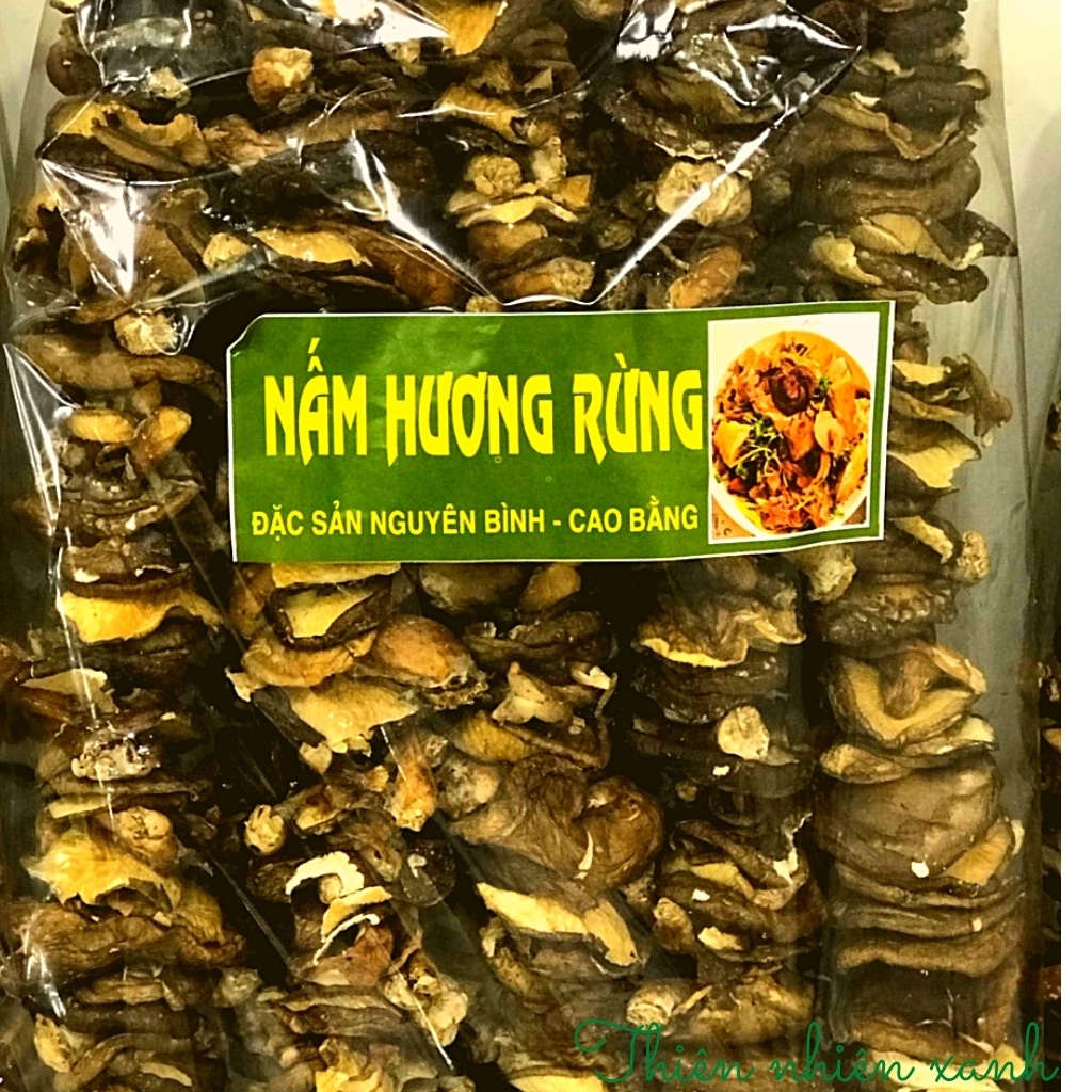 Nấm hương rừng Cao Bằng 500g - Đặc sản Tây Bắc ( dạng xiên) | Shopee ...