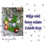 Kẹp tóc hoa năm cánh len nhiều màu sắc - Handmade len - Crochet