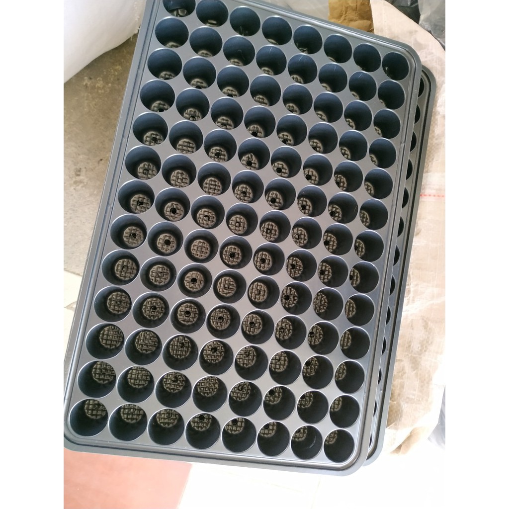 Khay nhựa ươm cây, vỉ ươm trồng cây con 104 lỗ | Shopee Việt Nam
