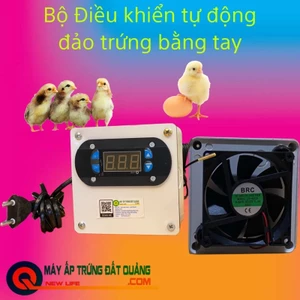 Máy Ấp Trứng Gà-Vịt-Ngan-Ngỗng-Chim-Trứng Cút-Máy Ấp Mini Đất Quảng Tự Lắp Đảo Bằng Tay