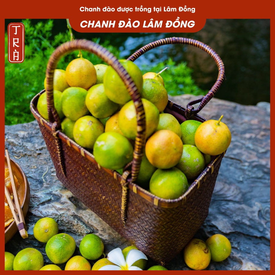 Chanh Đào Ngâm 100% Mật Ong Rừng Hà Giang - Hũ 750ML