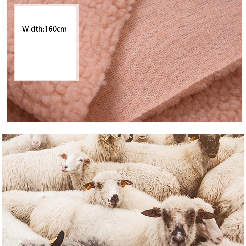 Thịt Cừu Vải Lông Cừu San Hô DIY Vải Lót Ấm Áp Vải Cho Búp Bê Flannel Cừu Nhung Vải May 50x160cm TJ10433