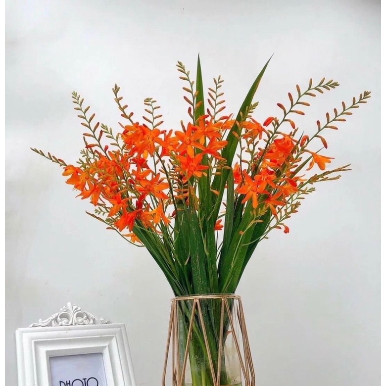 Hoa Dơn Lúa | Shopee Việt Nam