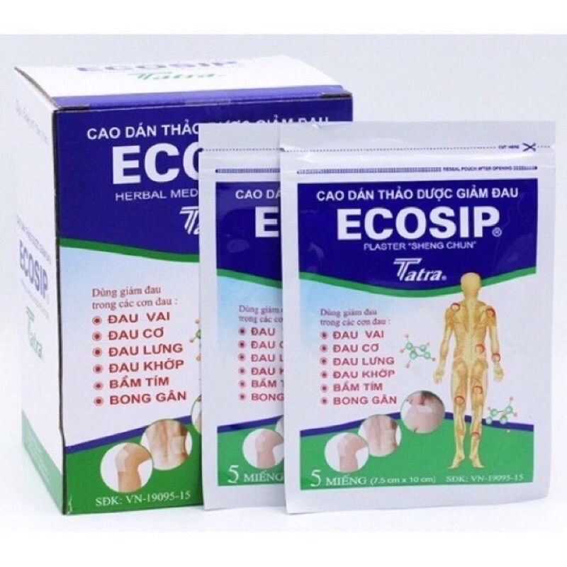 Cao dán Ecosip hộp 20 miếng | Shopee Việt Nam