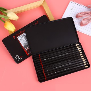 Bộ 12 Bút Chì Gỗ 2H-8B Chất Lượng Cao