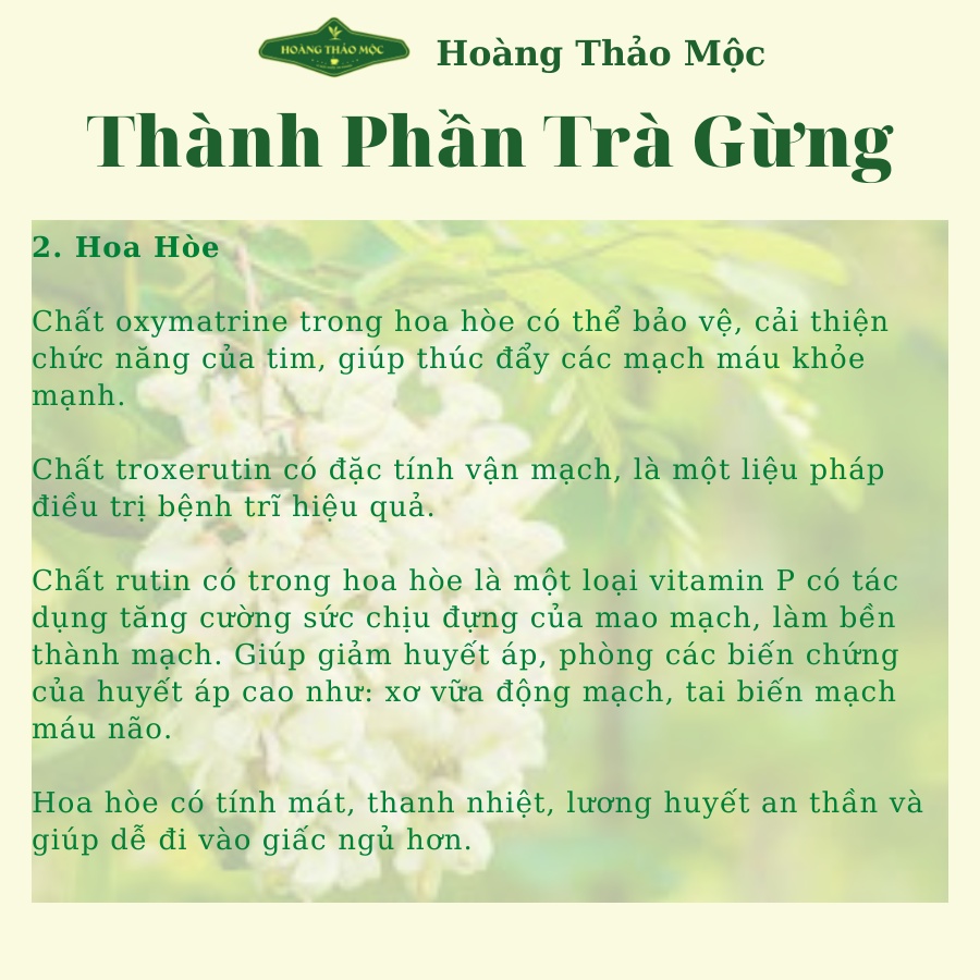 Trà Gừng Trà Thải Độc Hoàng Hãng Thảo Mộc Chính Hãng  [Hộp 40 túi lọc]