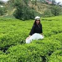 huong_ho_71
