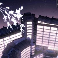 ntmai222