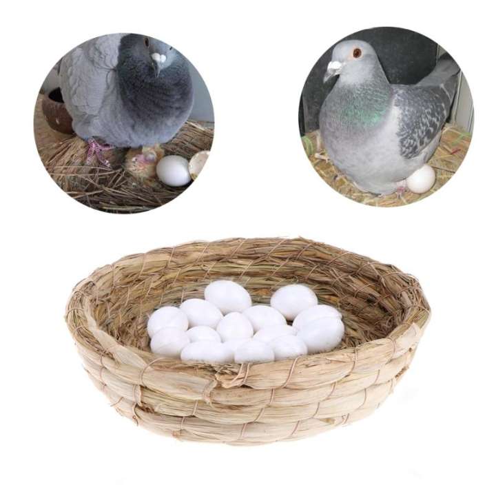 Tổ Chim Bồ Câu Bền Bỉ Dệt Rơm Tự Nhiên Cho Lợn Guinea Thỏ Nhà Phẳng Ấm Áp, Lồng Thủ Công