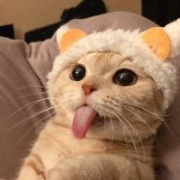 munmunmengmeng