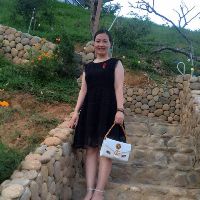 hongkhongphi