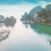 lemykieu8950