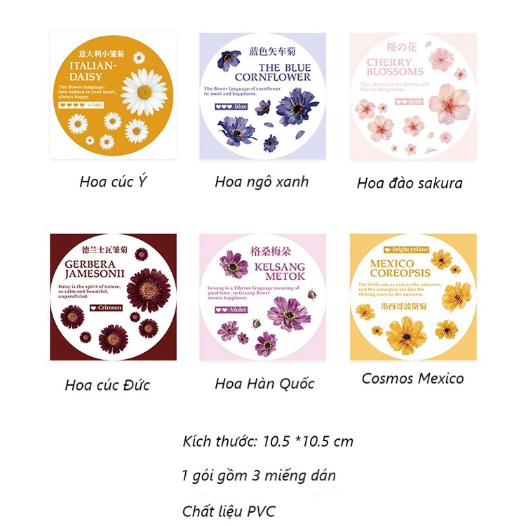 Sticker vintage trang trí sổ bullet journal scrapbook nhật kí album chống nước PVC HD60-K60 3 tấm dán hoa nghệ thuật.