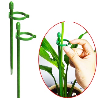 Giá Đỡ Hỗ Trợ Cây Leo Chống Đứt Tiện Dụng Cho Sân Vườn / Ngoài Trời