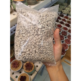 ĐÁ RÃI MẶT/TRỘN GIÁ THỂ DÀNH CHO SEN ĐÁ VÀ XƯƠNG RỒNG (TÚI 500GR), MASATO (1KG)