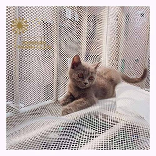 Lưới bảo vệ gắn cửa sổ/ban công/cầu thang, lưới cách ly an toàn