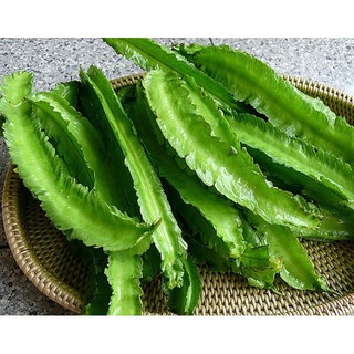Hạt Giống Đậu rồng cao sản