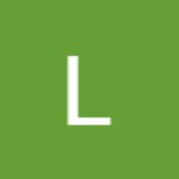 lethikimlien1307