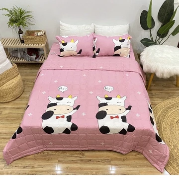 Bộ chăn hè ga gối 5 món Cotton poly , grap , ga chun , chăn ga gối , vỏ gối , chăn , mền