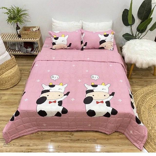 Bộ chăn hè ga gối 5 món Cotton poly , grap , ga chun , chăn ga gối , vỏ gối , chăn , mền