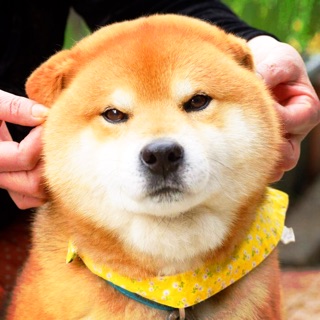 miichan95