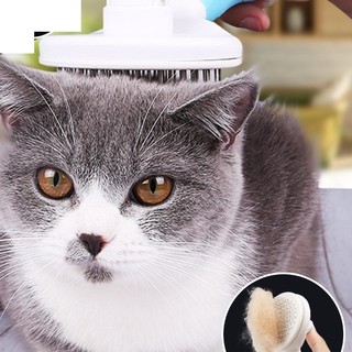 BÀN CHẢI LÔNG CHÓ MÈO CHẤT LƯỢNGTỐT