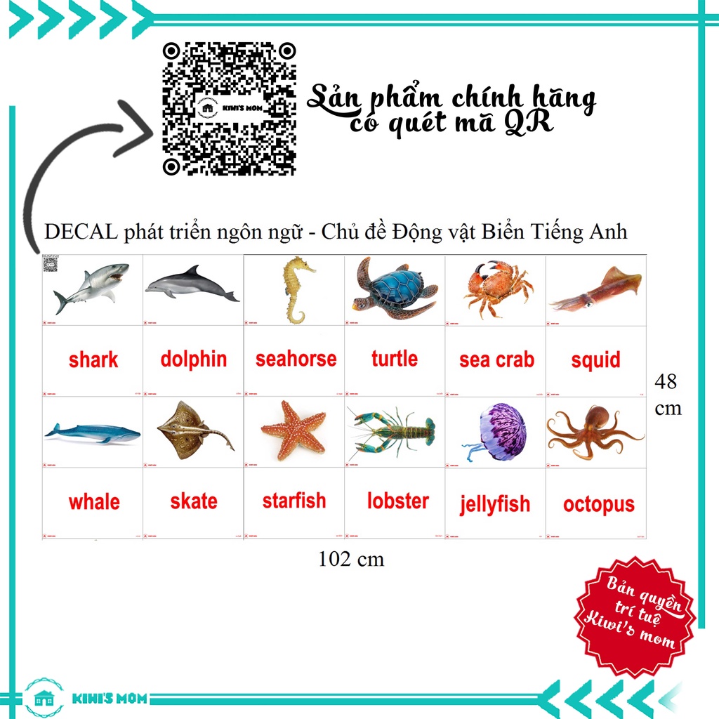 DECAL Phát triển ngôn ngữ Tiếng Anh KIWI'S MOM - 4 lớp cao cấp chống nước