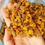 Trà Hoa Cúc Vàng Sấy khô Nguyên Bông JINDO 100g