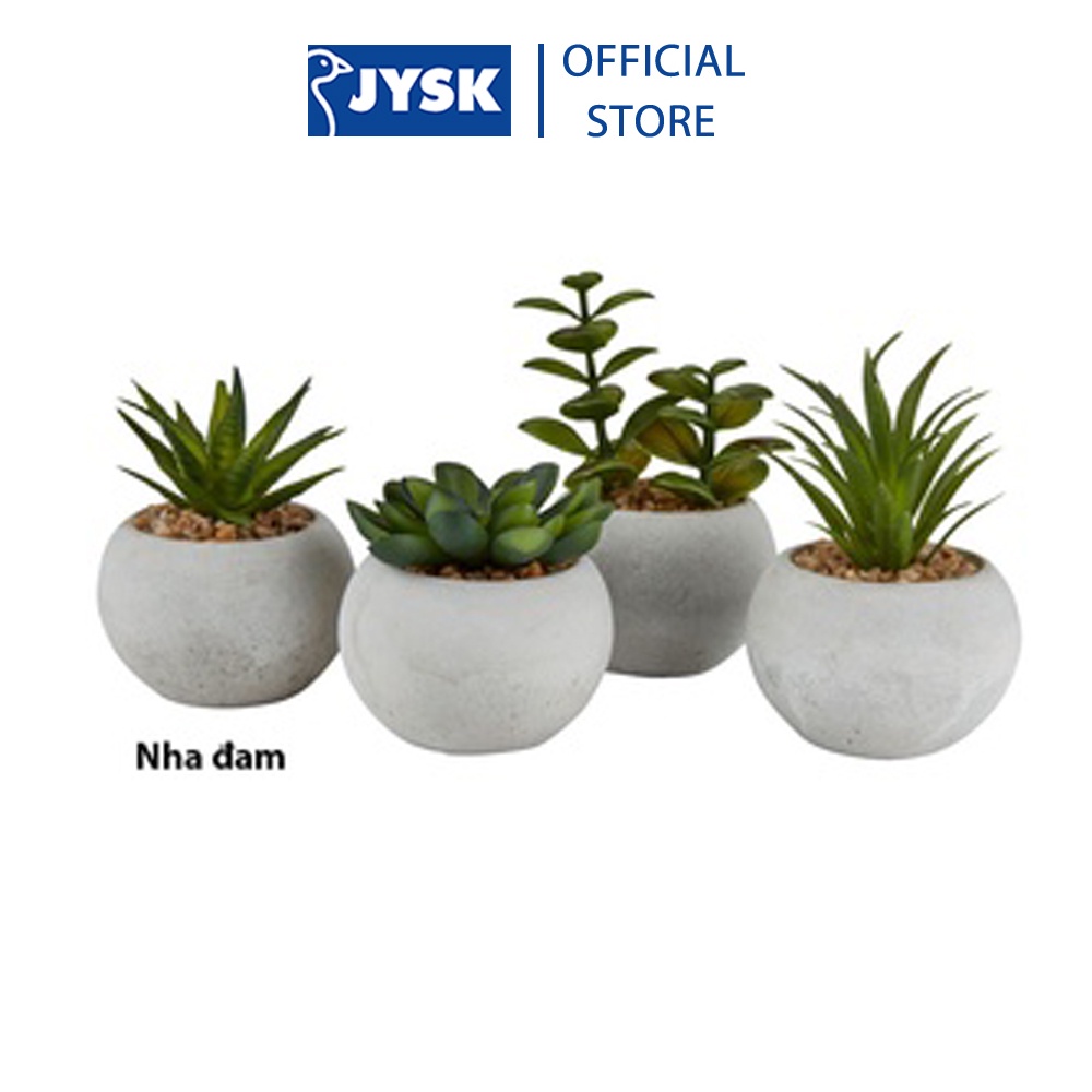 Ảnh Cây hoa trang trí |JYSK Bror | xi măng/nhựa | xanh/xám | DK7xC9cm 1