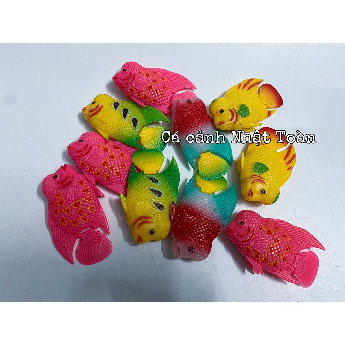 CÁ LA HÁN GIẢ LỚN LÀM CÁ KÈ CHO LA HÁN (MÀU NGẪU NHIÊN)