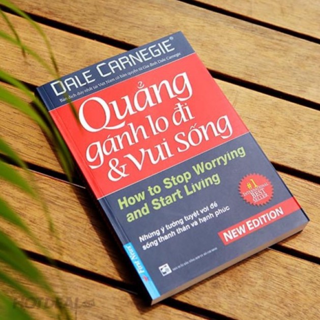 Ảnh Sách - Quẳng Gánh Lo Đi Và Vui Sống (Bìa Mềm) 2
