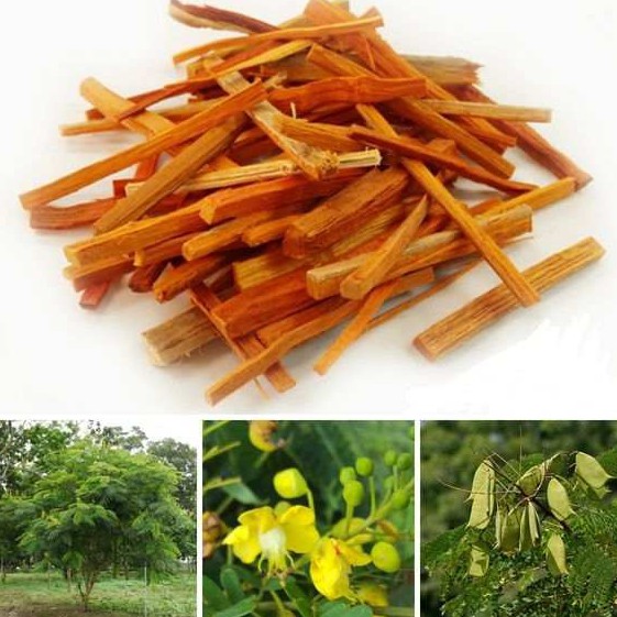 Tô mộc khô thượng hạng JINDO 1kg