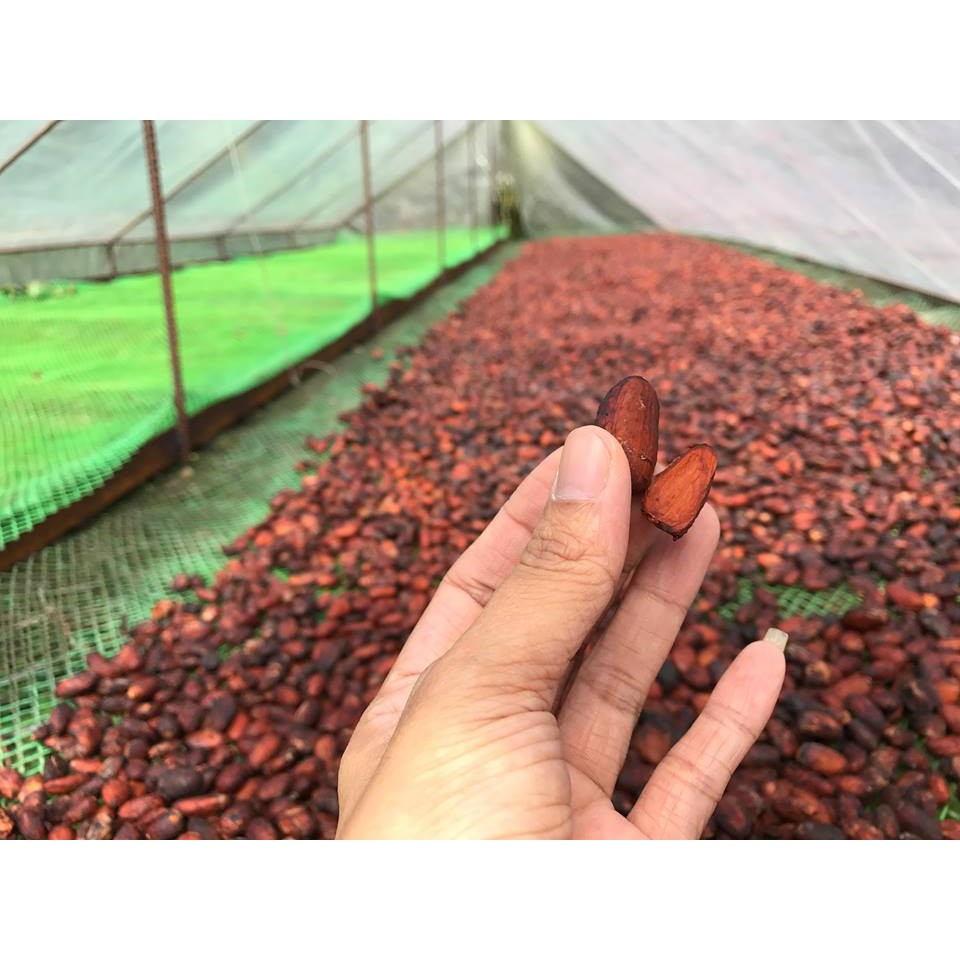 Ảnh Bột cacao 100% nguyên chất không đường Thức uống sô cô la chuẩn ăn kiêng Keto CACAOMI Original 80g 4