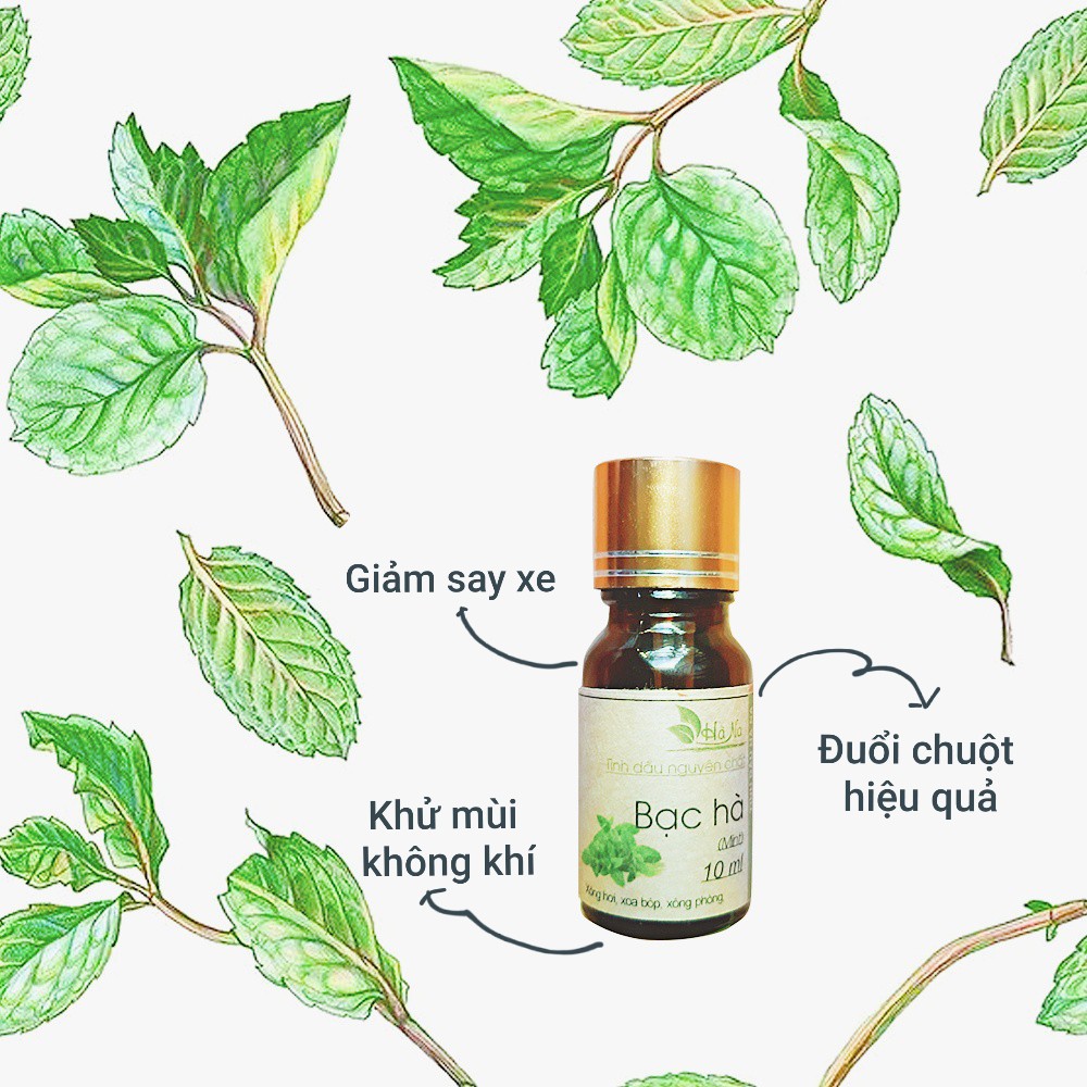 Tinh dầu Bạc Hà Hà Na - Tinh Dầu Hà Na - Mùi thơm tươi mát, khử mùi không khí