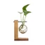 Bình thủy tinh JUIC Trang trí Terrarium Để bàn Chậu hoa