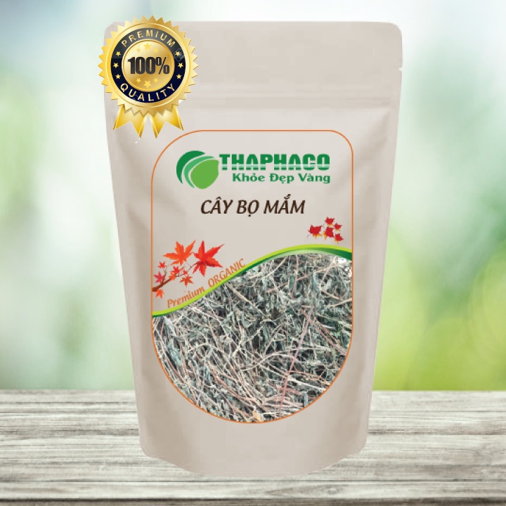 [Thiên Nhiên] Bọ Mắn Sấy Khô Ngăn Ngừa Lao Phổi 100g Thaphaco