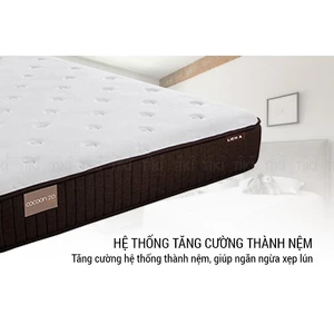 Nệm Lò Xo Liên Á Cocoon