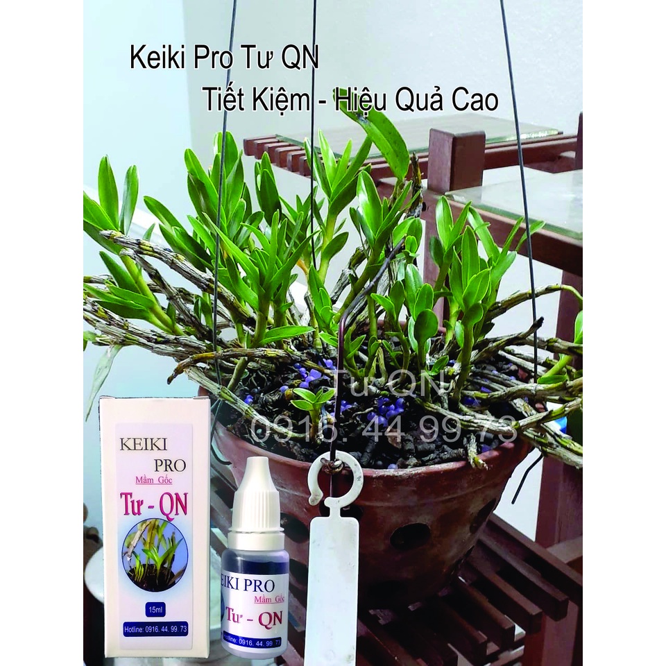Keiki_Pro Kiều Tím Chính Hãng - Kích Mầm Cho Lan - Hiệu Quả (15ml)