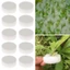 LAKAM 10 / 50 Miếng Bọt Biển Mầm Non Bán Chạy Trồng Trồng Trồng Không Đất Thủy Canh