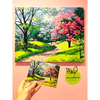Tranh tô màu theo số hóa Madoca có khung 40x50cm kết hợp T16 và T934