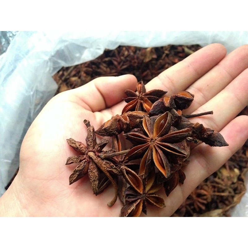 Đại hồi hay còn gọi là hoa hồi khô thượng hạng JINDO 1kg
