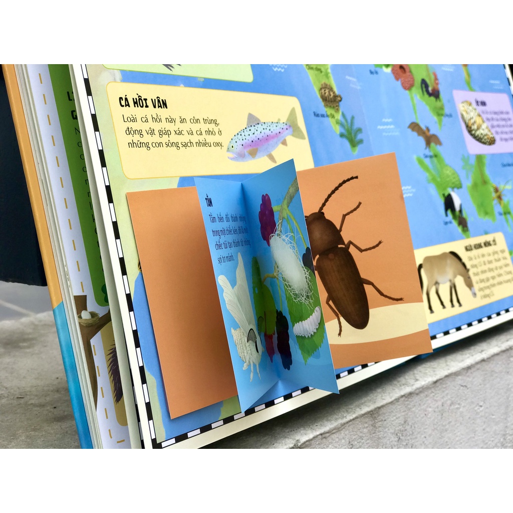 Ảnh SÁCH - Atlas động vật - đinh tị 3