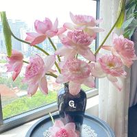 buihuuhung2018